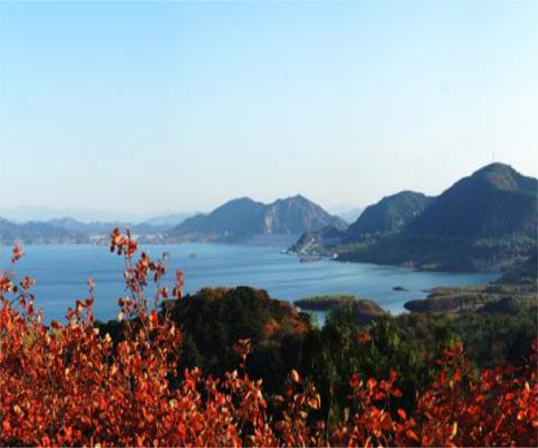 美景