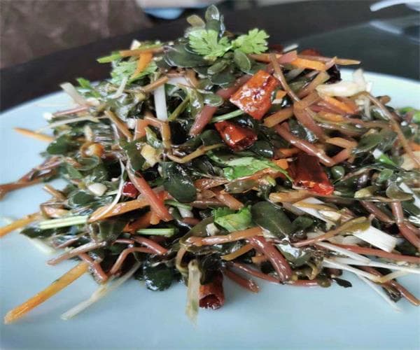 拌野菜