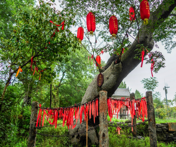 祁福