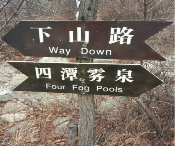 道路指示牌