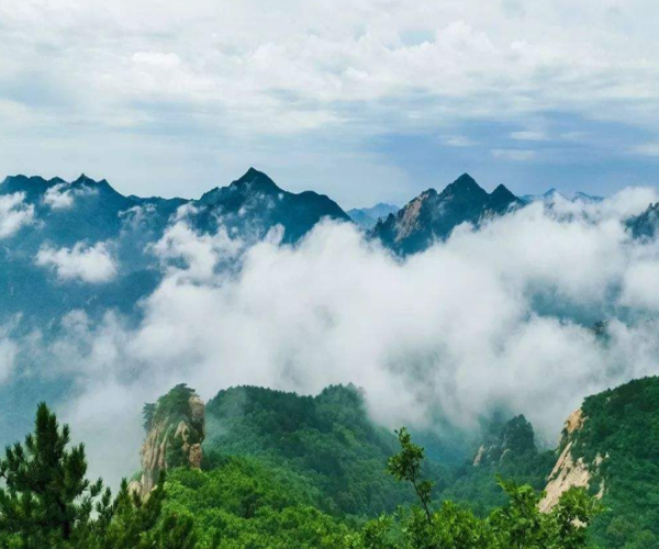 仙境