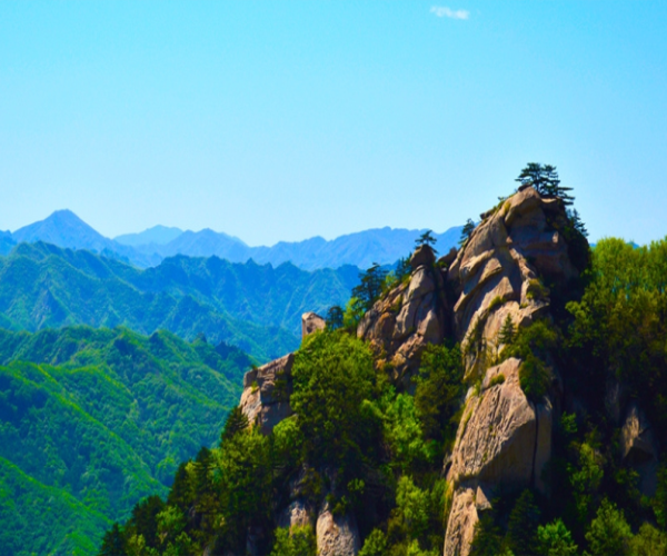 青山